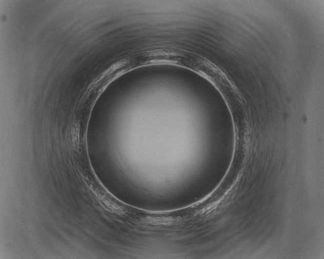 X0000083620825200702201314