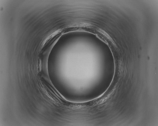 X0000083620826200702201314