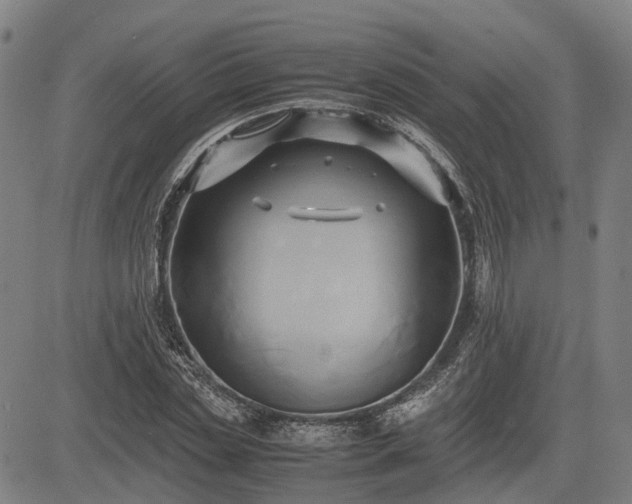 X0000083620829200702201314