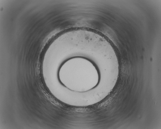 X0000083620832200702201314