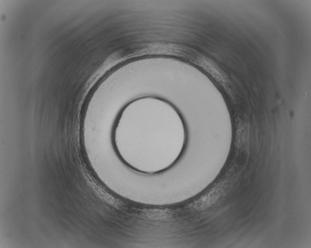 X0000083620836200702201314