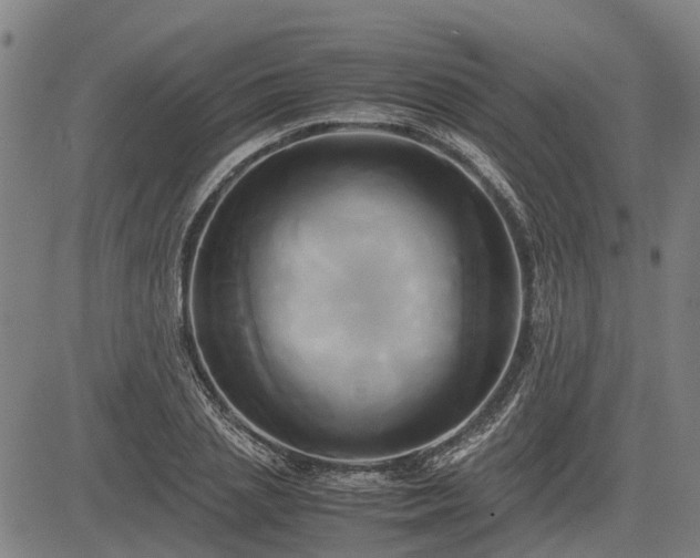 X0000083620837200702201314