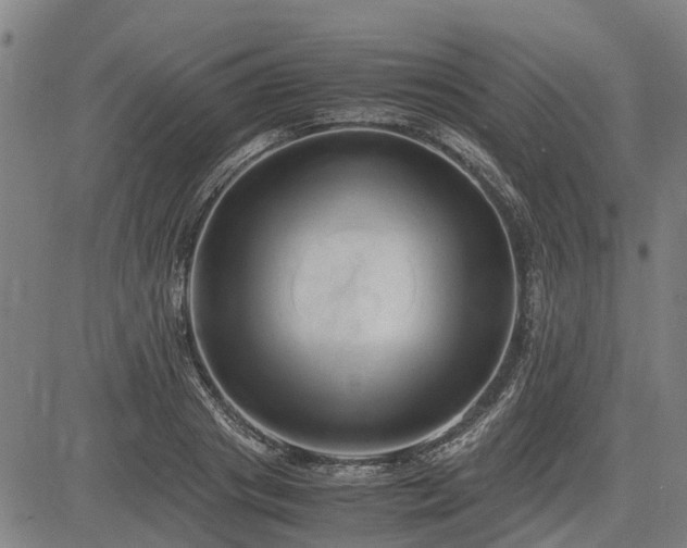 X0000083620841200702201314