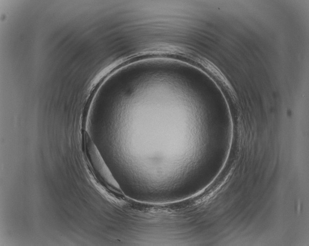 X0000083620842200702201314
