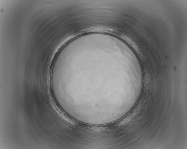 X0000083620848200702201314