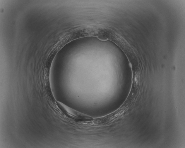 X0000083620867200702201313
