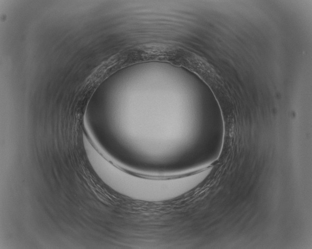 X0000083620868200702201313