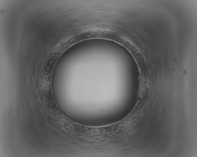 X0000083620869200702201313