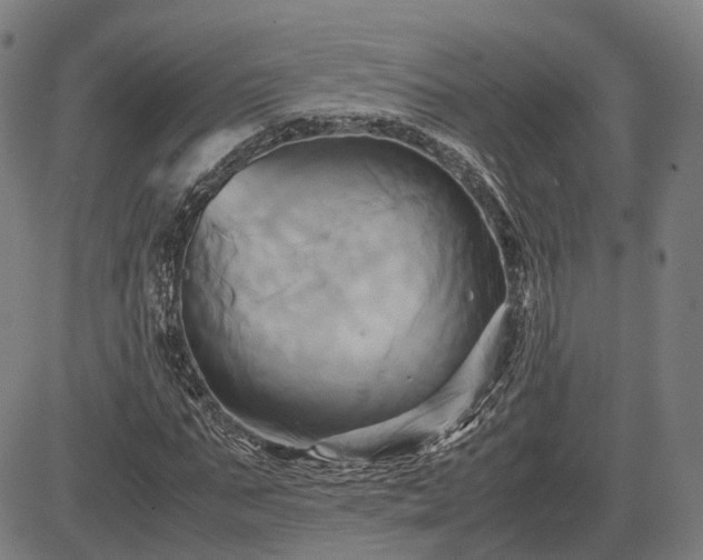 X0000083620871200702201313