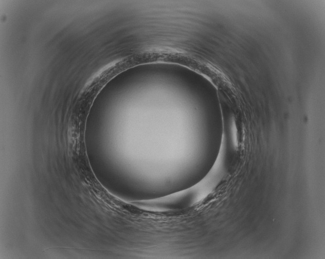 X0000083620872200702201313