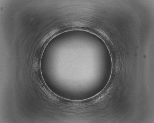 X0000083620873200702201313