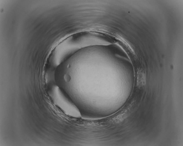 X0000083620876200702201313