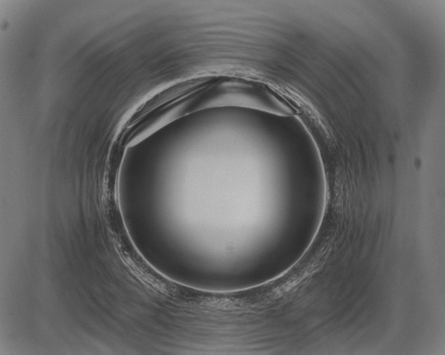 X0000083620880200702201313