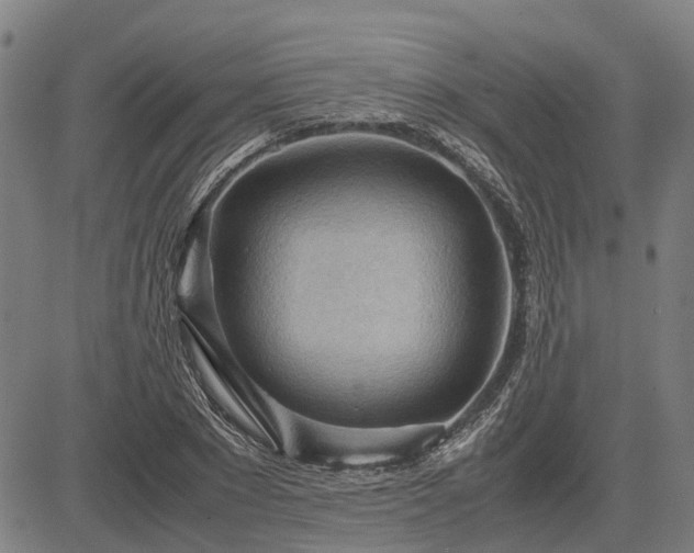 X0000083620881200702201313