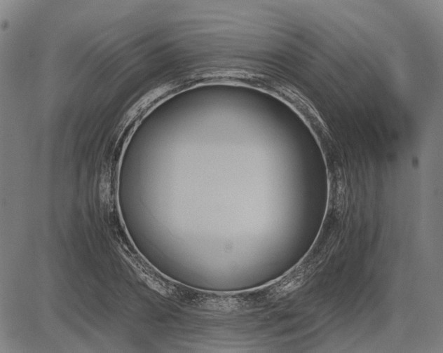 X0000083620882200702201313
