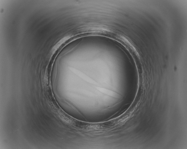 X0000083620883200702201313