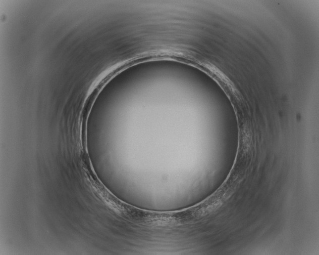 X0000083620886200702201313