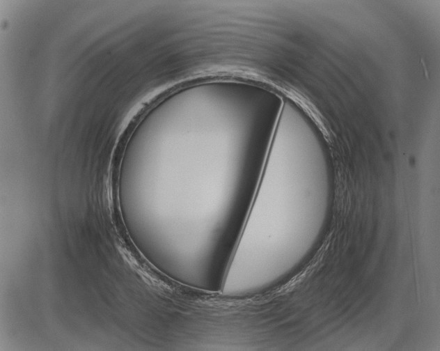 X0000083620888200702201313