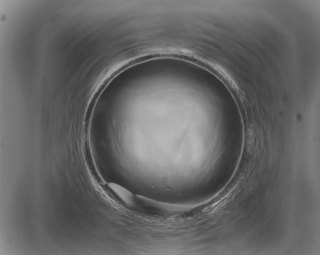 X0000083620895200702201313