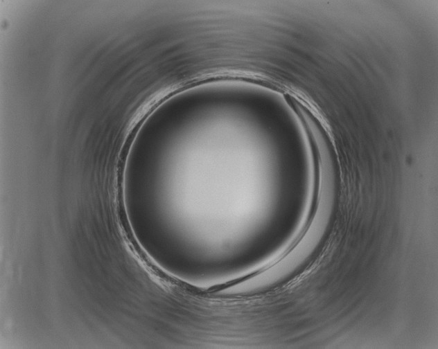 X0000083620898200702201313