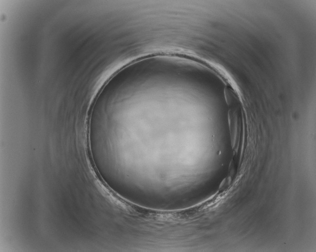 X0000083620903200702201313