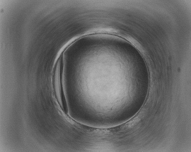 X0000083620912200702201313