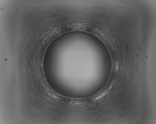 X0000083620913200702201312