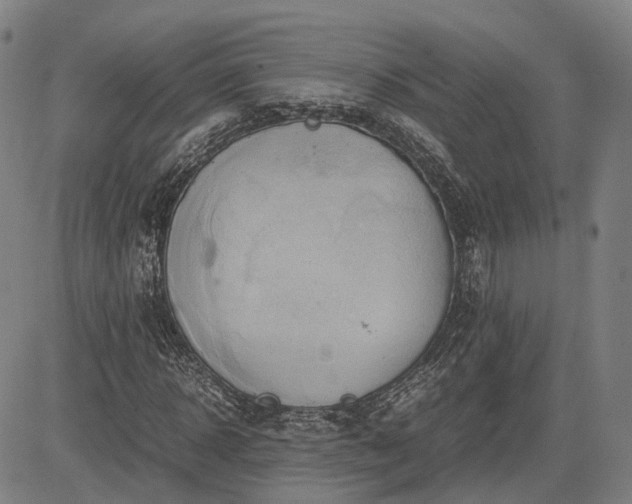 X0000083620918200702201312