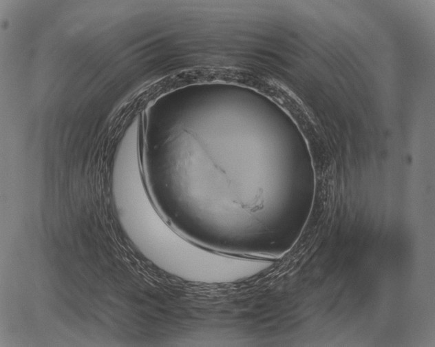 X0000083620919200702201312