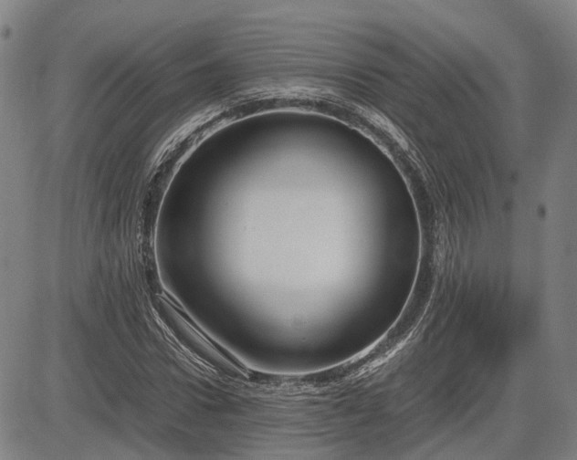 X0000083620922200702201312