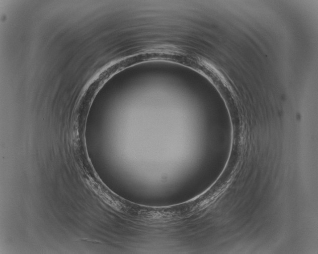 X0000083620923200702201312