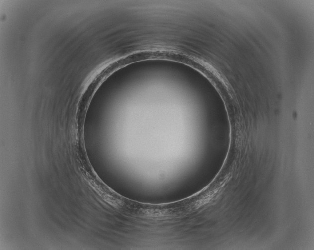 X0000083620927200702201312
