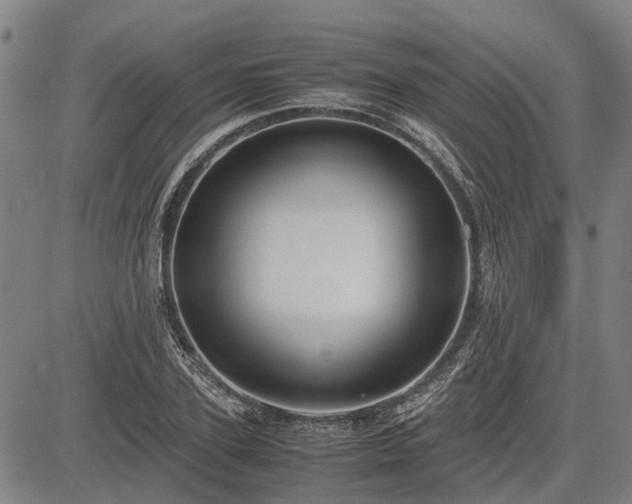 X0000083620931200702201312