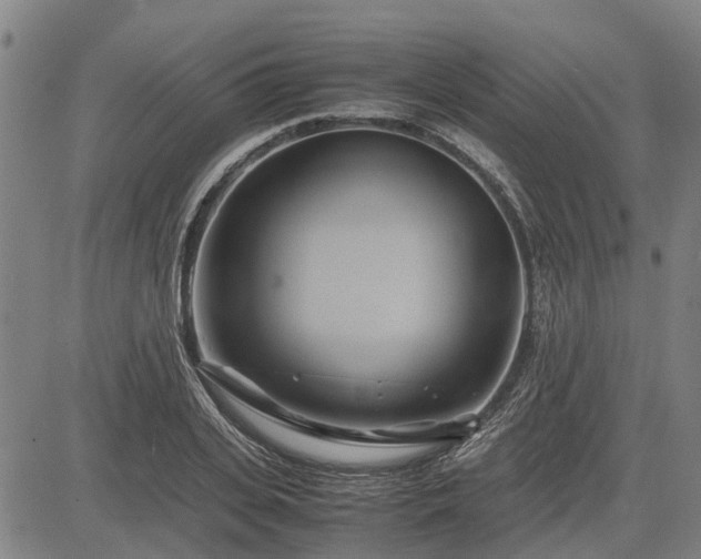 X0000083620935200702201312