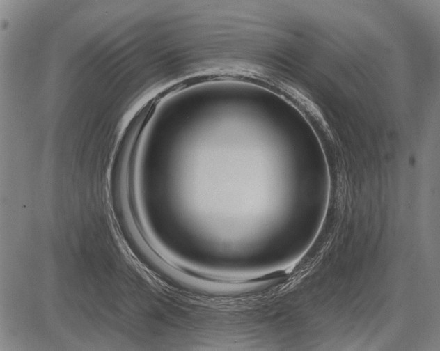 X0000083620936200702201312