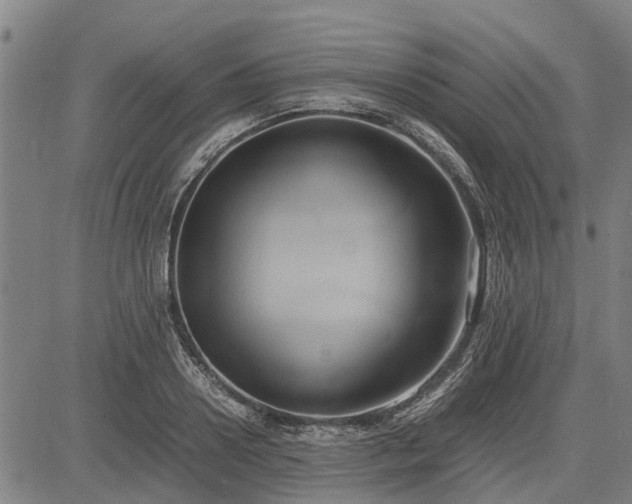 X0000083620938200702201312