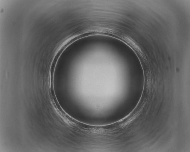 X0000083620940200702201312
