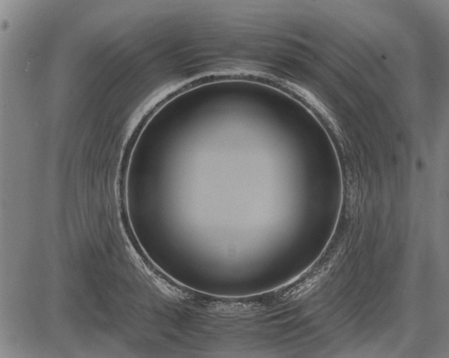 X0000083620943200702201312