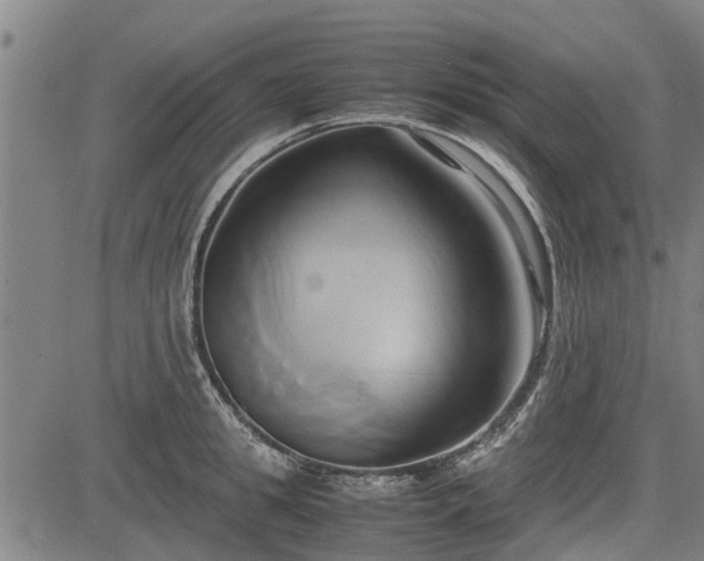 X0000083620949200702201312