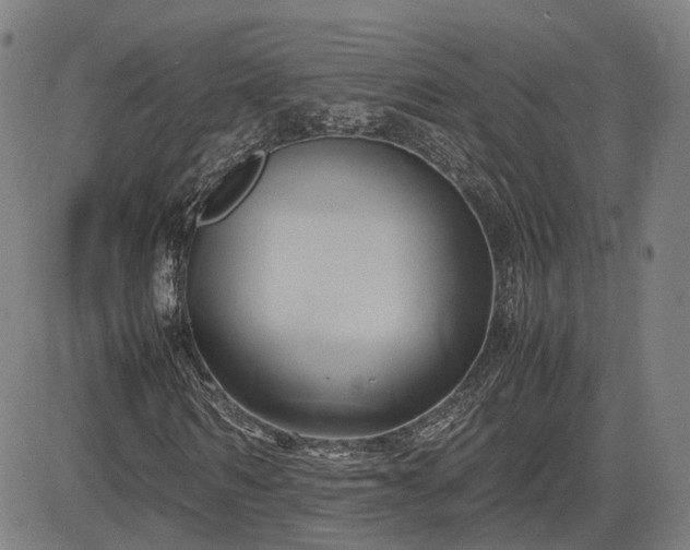 X0000083620962200702201312