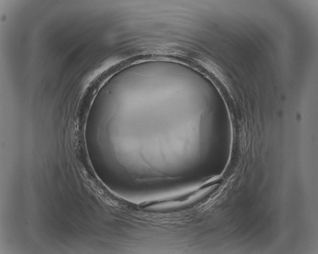 X0000083620971200702201312