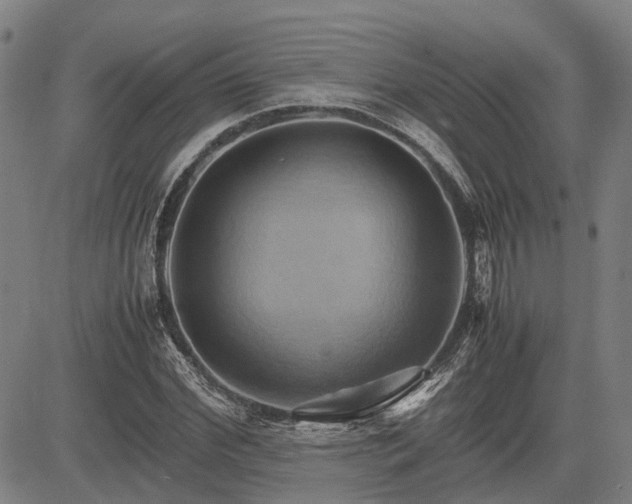 X0000083620972200702201312