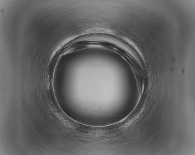 X0000083620973200702201311