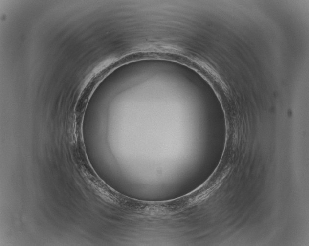 X0000083620974200702201311