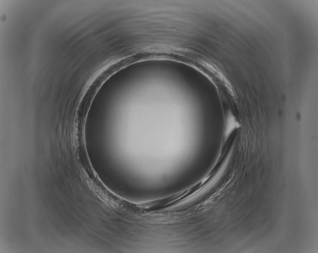 X0000083620976200702201311