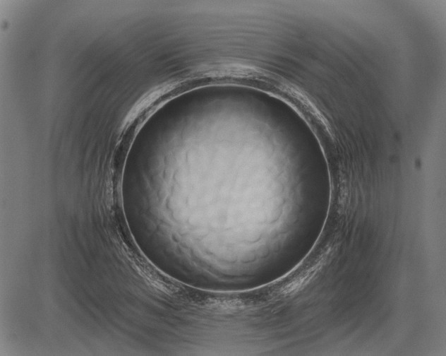 X0000083620978200702201311