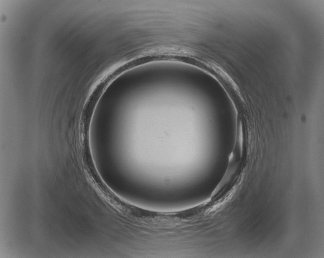 X0000083620981200702201311