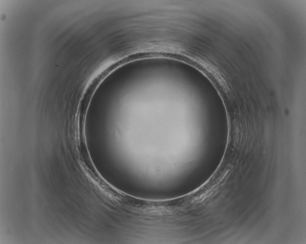 X0000083620982200702201311