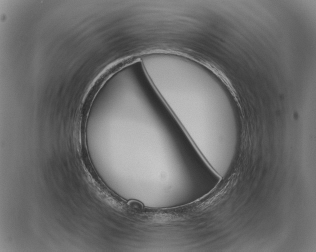 X0000083620984200702201311