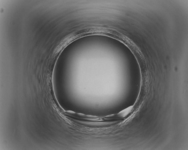 X0000083620985200702201311